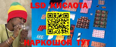 гидра Кандалакша