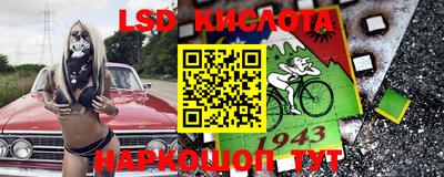гидра Кандалакша