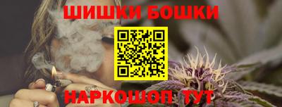 a pvp Камышлов
