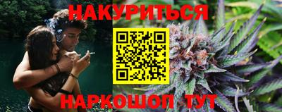a pvp Камышлов