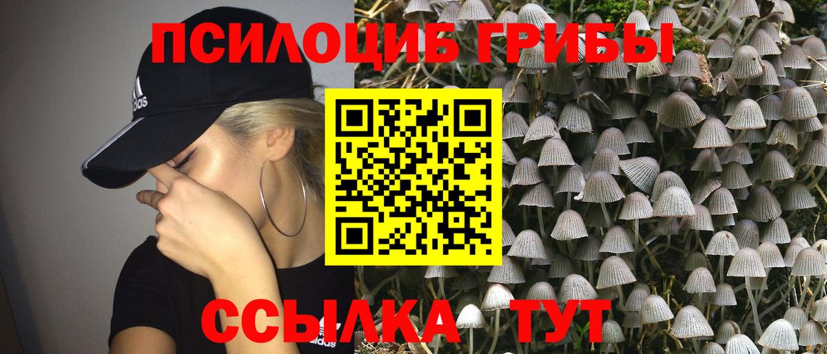 Псилоцибиновые грибы ЛСД  Вход с VPN  Чусовой 